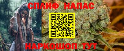бошки Новодвинск