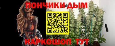 шишки Новокубанск