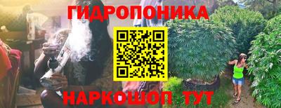 шишки Новокубанск