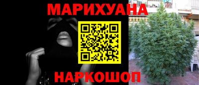 шишки Новокубанск